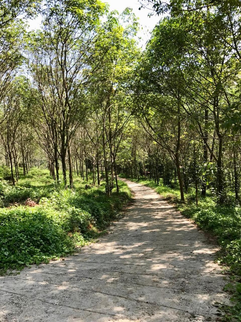 אידוקי Nutmeg Valley מראה חיצוני תמונה